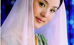 美国十次宜春院